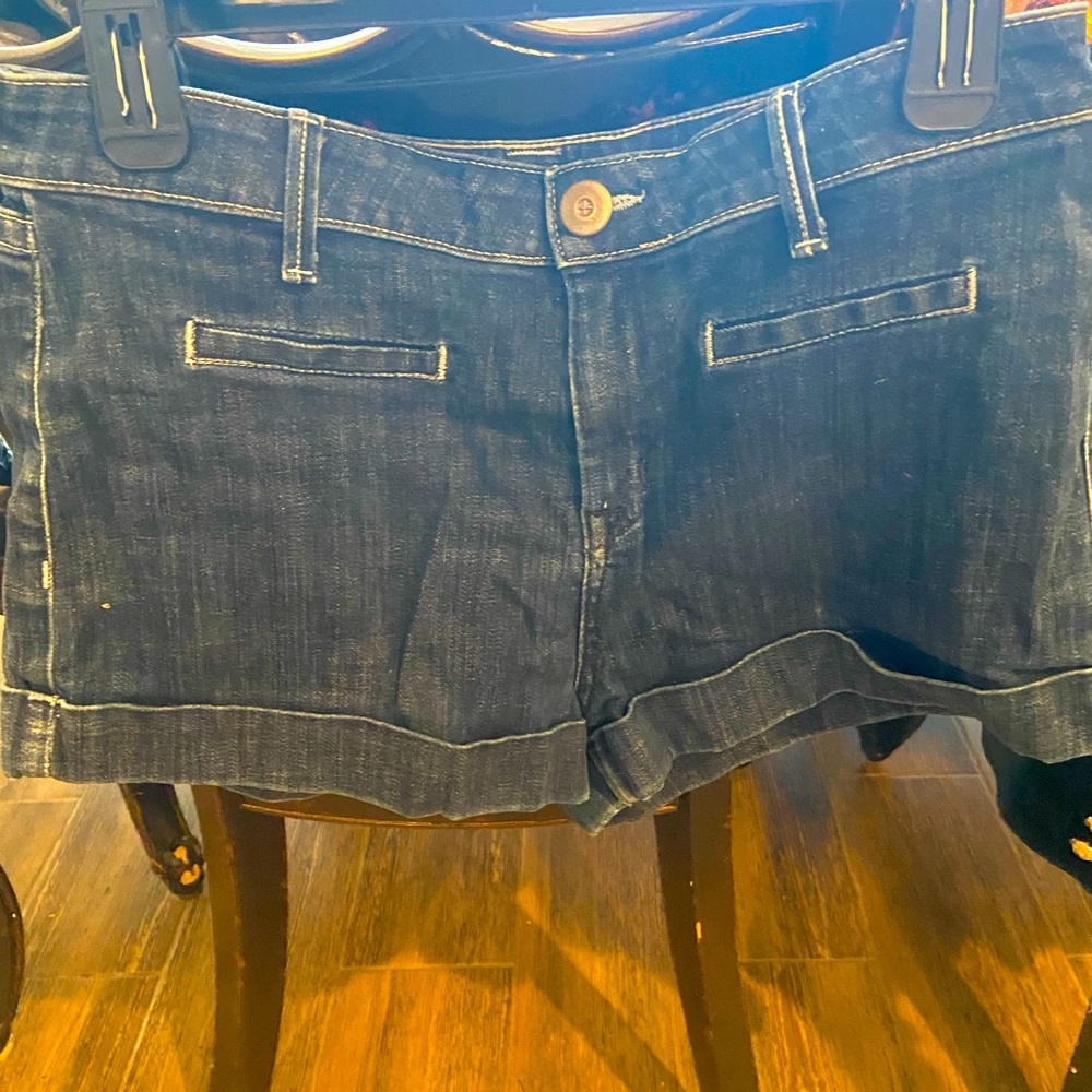 Hudson Jean shorts